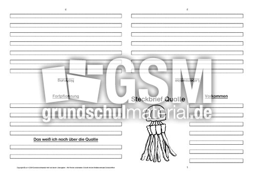 Qualle-Faltbuch-vierseitig-1.pdf
